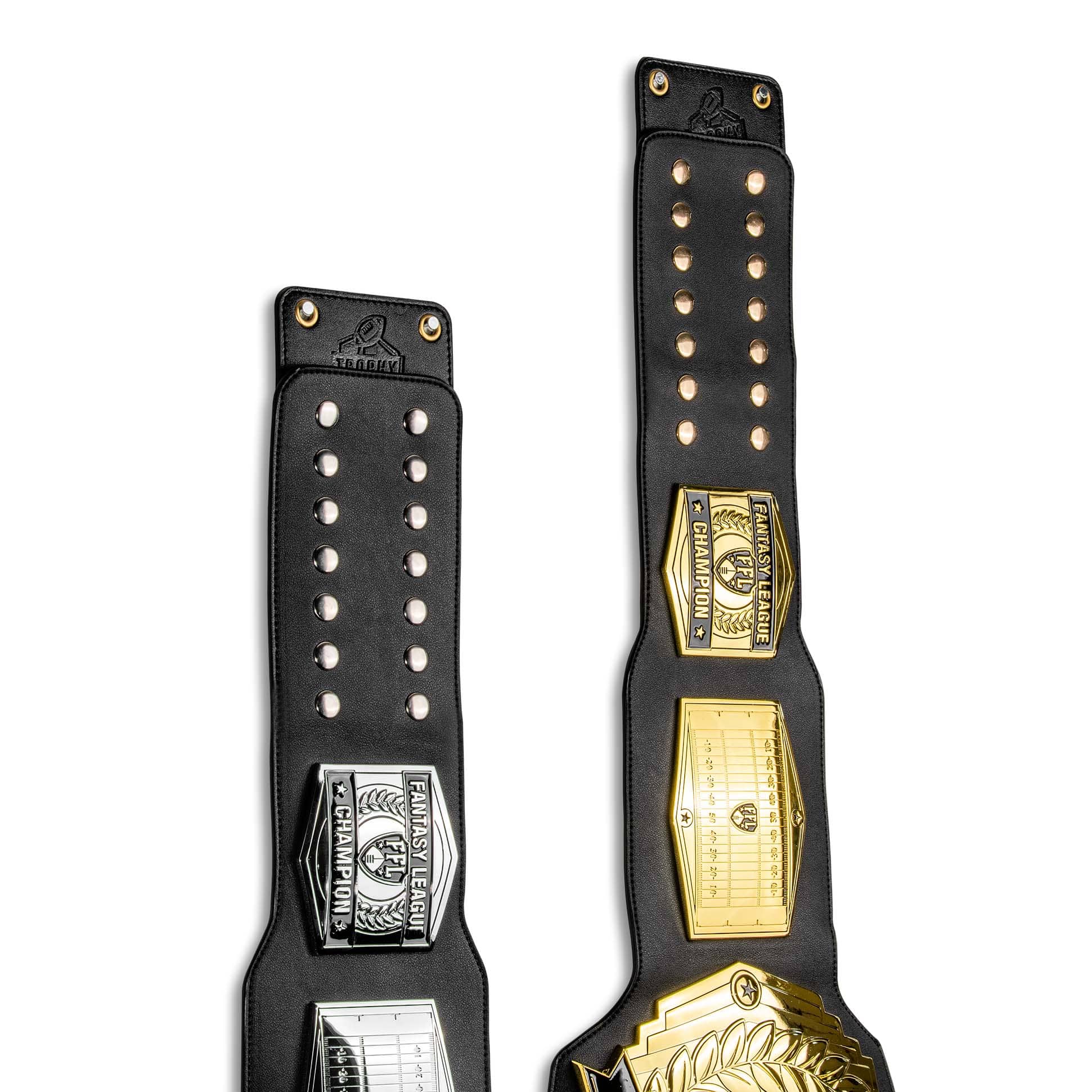 Championship Belt Hanging Wall Mount - Image 4